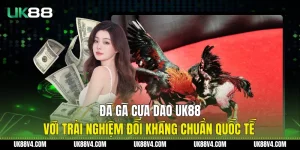 Đá Gà Cựa Dao UK88 Với Trải Nghiệm Đối Kháng Chuẩn Quốc Tế