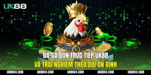 Đá Gà Đòn Trực Tiếp UK88 Và Trải Nghiệm Theo Dõi Ổn Định