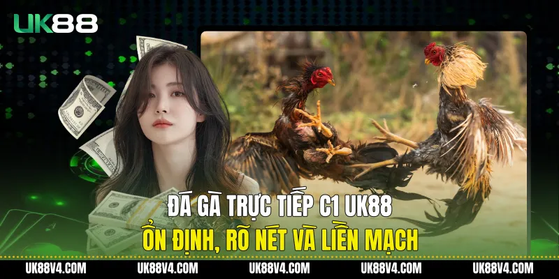 Đá Gà Trực Tiếp C1 UK88 Ổn Định, Rõ Nét Và Liền Mạch
