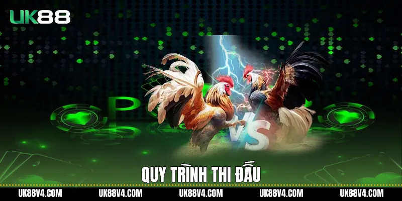 Quy trình thi đấu